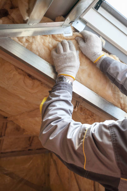 Best Crawl Space Insulation  in Fairbury, IL